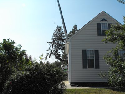 ./2011/Trees/thumbDSCF1269.JPG"