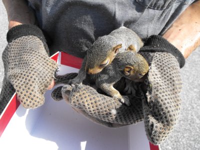 ./2011/Trees/thumbDSCF1270.JPG"