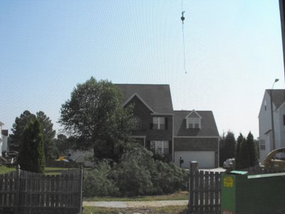 ./2011/Trees/thumbDSCF1273.JPG"