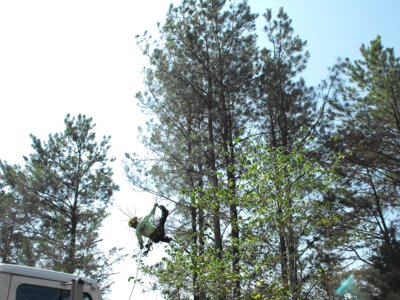 ./2011/Trees/thumbDSCF1278.JPG"