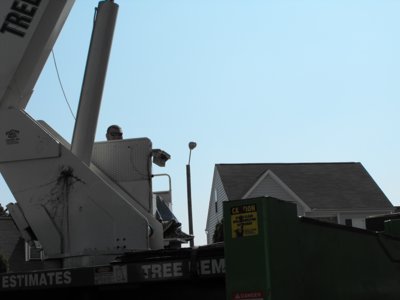 ./2011/Trees/thumbDSCF1279.JPG"