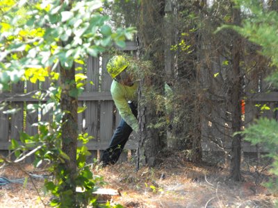 ./2011/Trees/thumbDSCF1281.JPG"