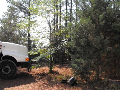 ./2011/Trees/thumbDSCF1282.JPG"