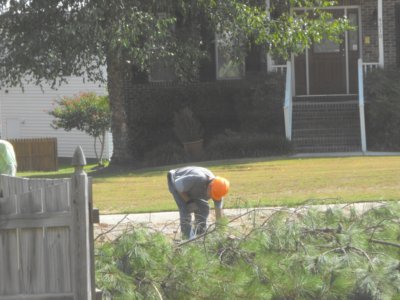 ./2011/Trees/thumbDSCF1284.JPG"