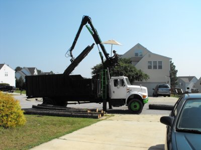 ./2011/Trees/thumbDSCF1285.JPG"