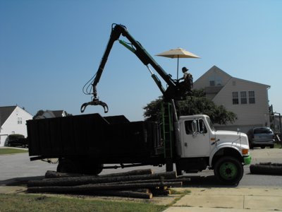 ./2011/Trees/thumbDSCF1286.JPG"