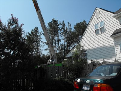 ./2011/Trees/thumbDSCF1288.JPG"