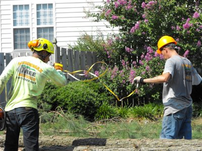 ./2011/Trees/thumbDSCF1291.JPG"