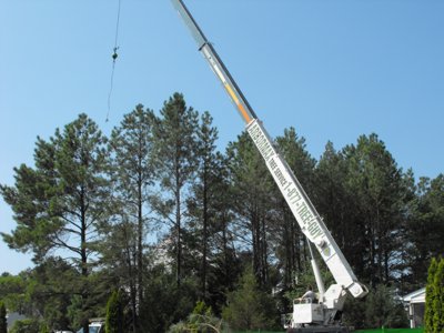 ./2011/Trees/thumbDSCF1292.JPG"