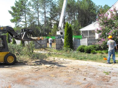 ./2011/Trees/thumbDSCF1295.JPG"