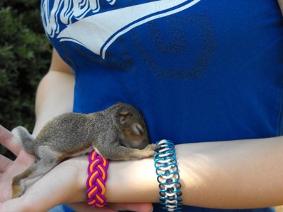 ./2011/Trees/thumbDSCF1297.JPG"