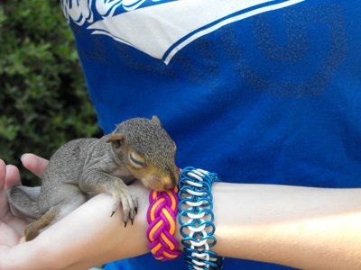 ./2011/Trees/thumbDSCF1298.JPG"