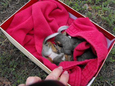 ./2011/Trees/thumbDSCF1303.JPG"