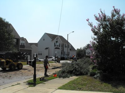 ./2011/Trees/thumbDSCF1304.JPG"