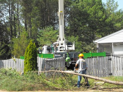 ./2011/Trees/thumbDSCF1306.JPG"