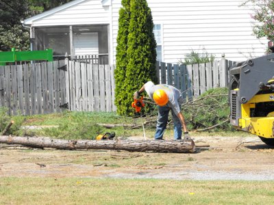 ./2011/Trees/thumbDSCF1307.JPG"