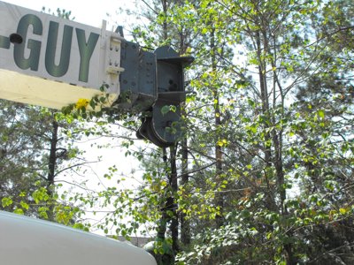 ./2011/Trees/thumbDSCF1314.JPG"