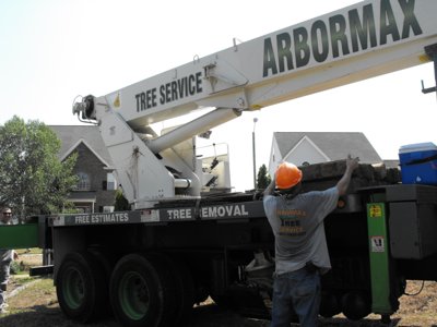 ./2011/Trees/thumbDSCF1316.JPG"