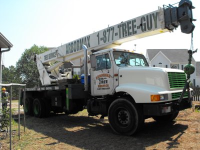 ./2011/Trees/thumbDSCF1317.JPG"