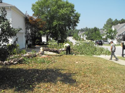 ./2011/Trees/thumbDSCF1320.JPG"