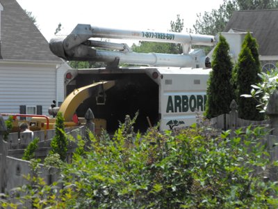 ./2011/Trees/thumbDSCF1321.JPG"