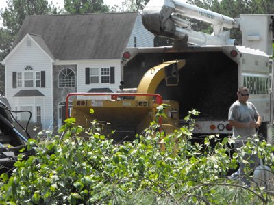 ./2011/Trees/thumbDSCF1322.JPG"