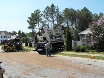 ./2011/Trees/thumbDSCF1324.JPG"