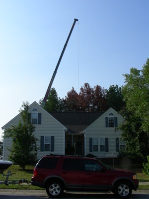 ./2011/Trees/thumbVDSCN8263.JPG"