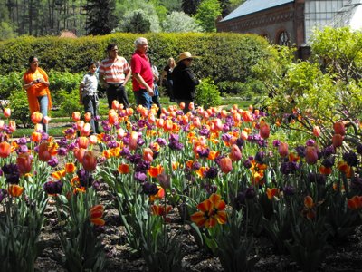 ./2012/Biltmore/thumbDSCF3251.JPG"