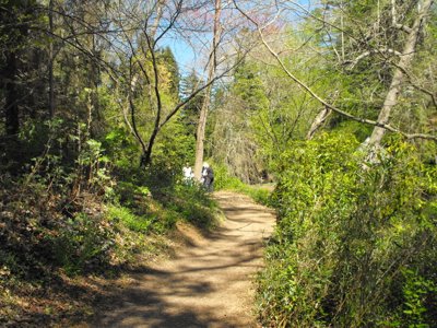 ./2012/Biltmore/thumbDSCF3293.JPG"