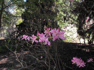 ./2012/Biltmore/thumbDSCF3296.JPG"