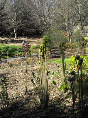 ./2012/Biltmore/thumbVDSCF3275.JPG"