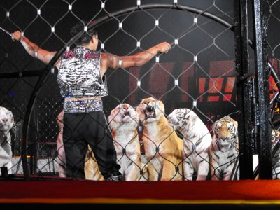 ./2012/Circus/thumbDSCF3154.JPG"