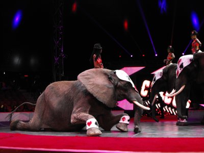 ./2012/Circus/thumbDSCF3163.JPG"