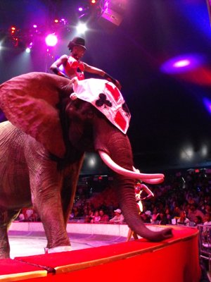 ./2012/Circus/thumbVDSCF3167.JPG"