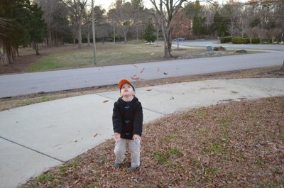 ./2013/Christmas/thumbDSC_3307.JPG"