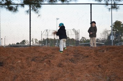 ./2013/Christmas/thumbDSC_3323.JPG"