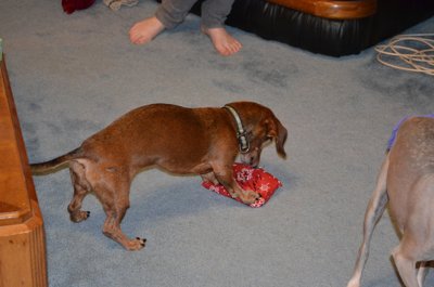 ./2014/Christmas/thumbDSC_8282.JPG"