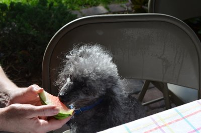 ./2014/Miami/thumbDSC_4520.JPG"