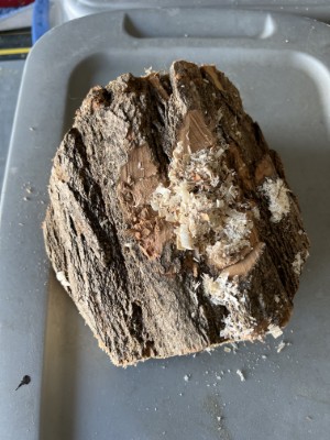 ./Woodturning/thumbIMG_1112.jpg"